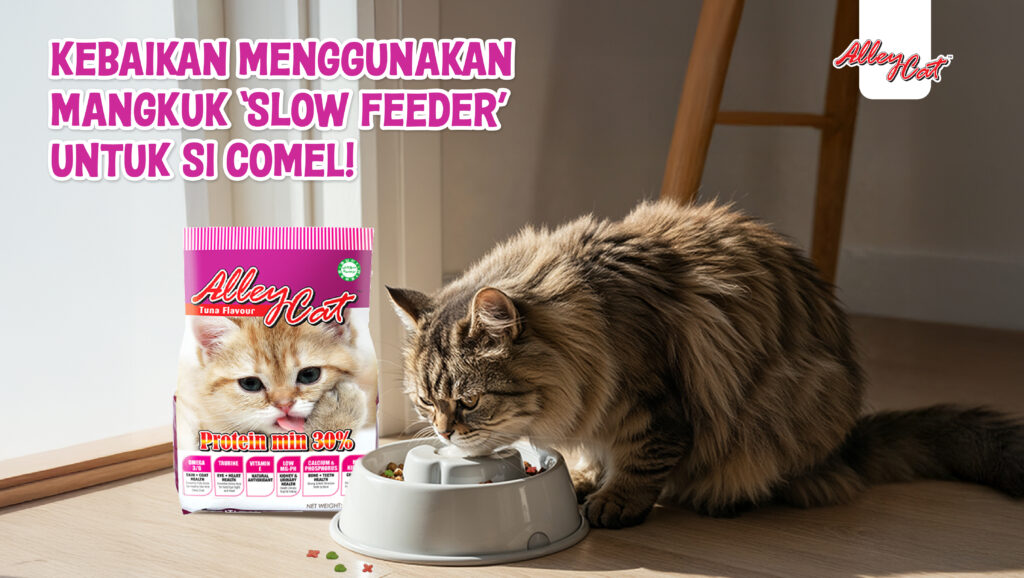 Kebaikan Menggunakan Mangkuk ‘Slow Feeder’ Untuk Si Comel!