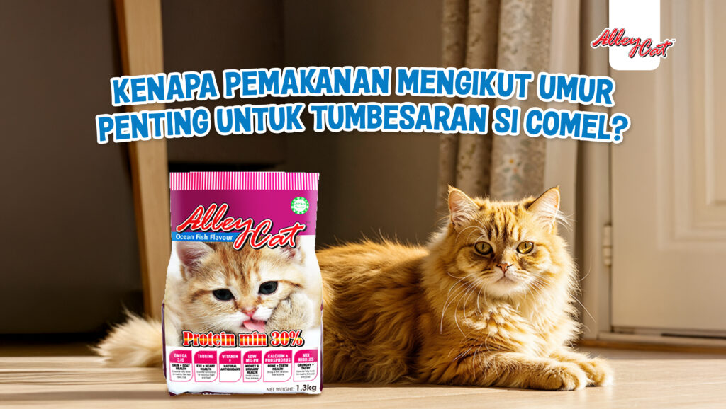 Kenapa Pemakanan Mengikut Umur Penting Untuk Tumbesaran Si Comel?